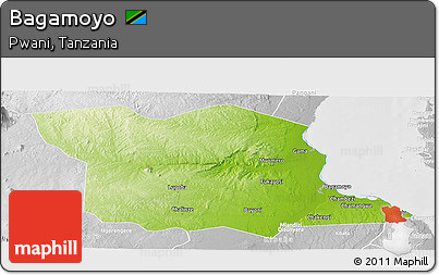 Physical Panoramic Map of Bagamoyo, lighten, desaturated