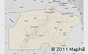 Shaded Relief Map of Kisarawe, desaturated