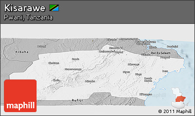 Gray Panoramic Map of Kisarawe