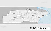Gray Panoramic Map of Kisarawe, single color outside