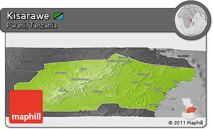 Physical Panoramic Map of Kisarawe, darken, desaturated