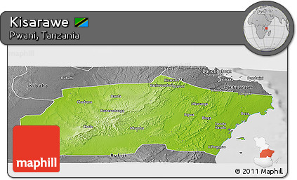 Physical Panoramic Map of Kisarawe, desaturated