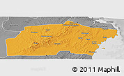 Political Panoramic Map of Kisarawe, desaturated