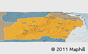 Political Panoramic Map of Kisarawe, semi-desaturated