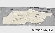 Shaded Relief Panoramic Map of Kisarawe, darken, desaturated