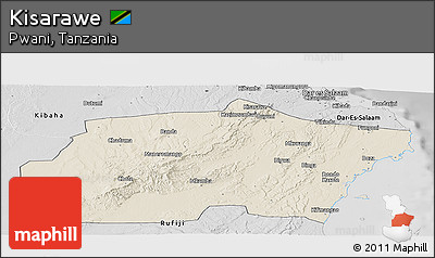 Shaded Relief Panoramic Map of Kisarawe, desaturated