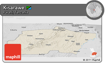 Shaded Relief Panoramic Map of Kisarawe, desaturated