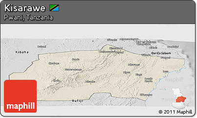 Shaded Relief Panoramic Map of Kisarawe, desaturated