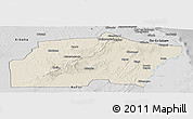 Shaded Relief Panoramic Map of Kisarawe, desaturated