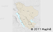 Shaded Relief 3D Map of Rukwa, lighten, desaturated