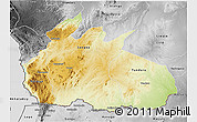 Physical 3D Map of Ruvuma, desaturated