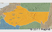 Political 3D Map of Bariadi, semi-desaturated