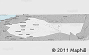 Gray Panoramic Map of Bariadi