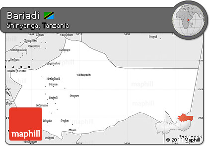 Silver Style Simple Map of Bariadi