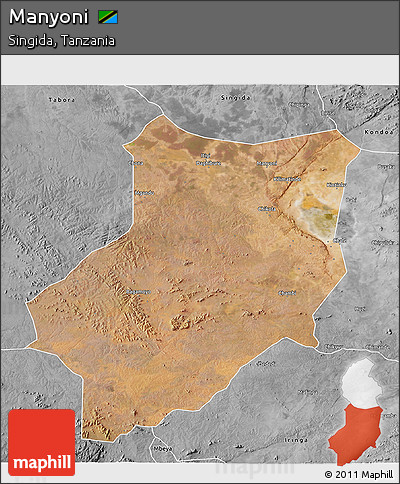 Satellite 3D Map of Manyoni, desaturated