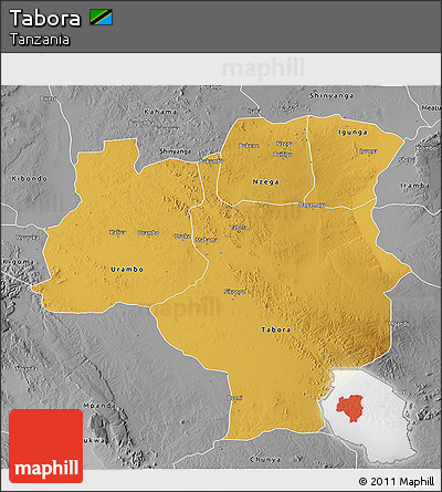 Physical 3D Map of Tabora, desaturated