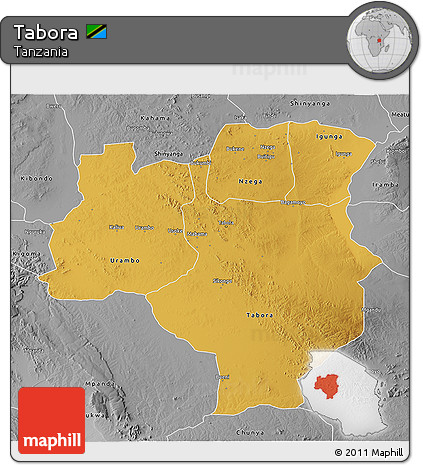 Physical 3D Map of Tabora, desaturated