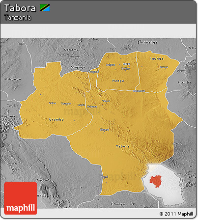 Physical 3D Map of Tabora, desaturated