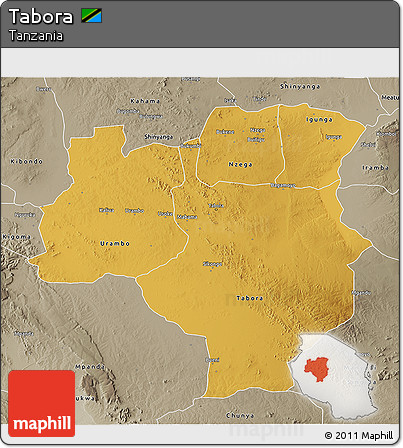 Physical 3D Map of Tabora, semi-desaturated