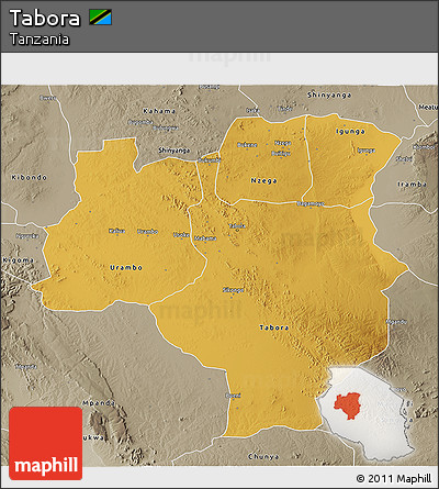 Physical 3D Map of Tabora, semi-desaturated