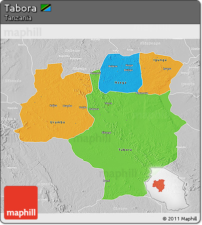 Political 3D Map of Tabora, lighten, desaturated