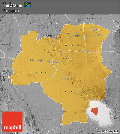 Physical Map of Tabora, desaturated
