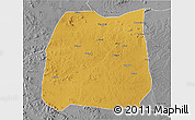 Physical 3D Map of Nzega, desaturated
