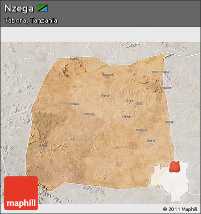 Satellite 3D Map of Nzega, lighten, semi-desaturated