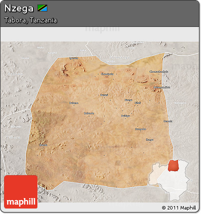 Satellite 3D Map of Nzega, lighten, semi-desaturated