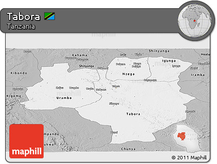 Gray Panoramic Map of Tabora