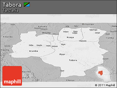 Gray Panoramic Map of Tabora