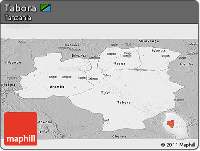 Gray Panoramic Map of Tabora