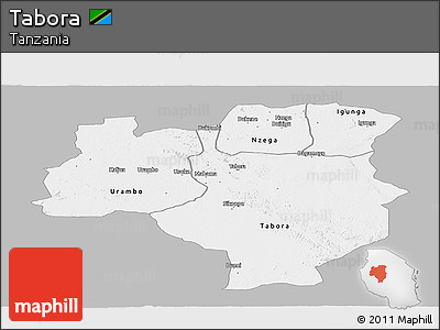 Gray Panoramic Map of Tabora, single color outside