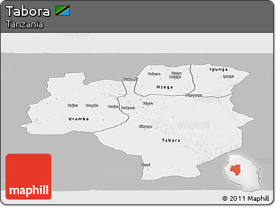 Gray Panoramic Map of Tabora, single color outside