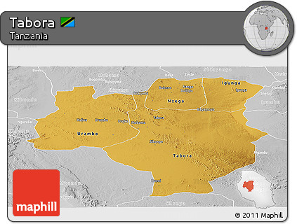 Physical Panoramic Map of Tabora, lighten, desaturated