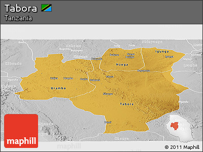 Physical Panoramic Map of Tabora, lighten, desaturated