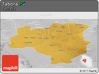 Physical Panoramic Map of Tabora, lighten, desaturated