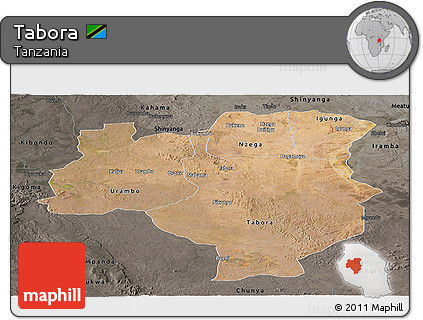 Satellite Panoramic Map of Tabora, darken, semi-desaturated