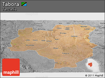 Satellite Panoramic Map of Tabora, desaturated