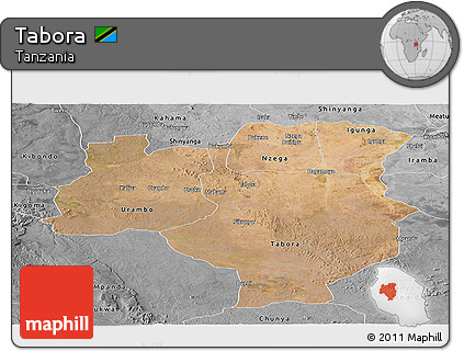 Satellite Panoramic Map of Tabora, desaturated