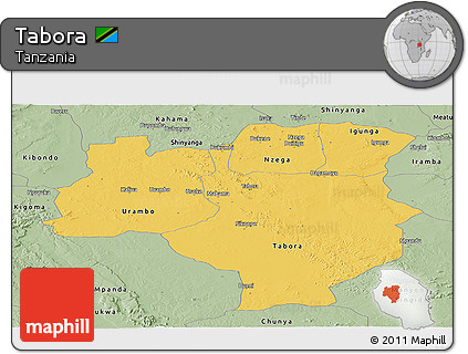 Savanna Style Panoramic Map of Tabora