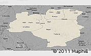 Shaded Relief Panoramic Map of Tabora, darken, desaturated
