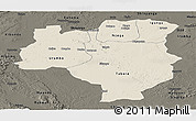 Shaded Relief Panoramic Map of Tabora, darken