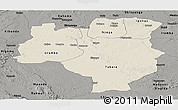 Shaded Relief Panoramic Map of Tabora, darken, semi-desaturated