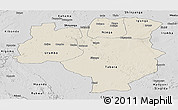 Shaded Relief Panoramic Map of Tabora, desaturated