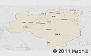 Shaded Relief Panoramic Map of Tabora, lighten, desaturated