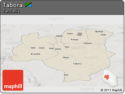 Shaded Relief Panoramic Map of Tabora, lighten, semi-desaturated