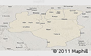 Shaded Relief Panoramic Map of Tabora, semi-desaturated