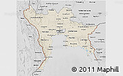 Shaded Relief 3D Map of Central, desaturated