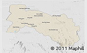 Shaded Relief 3D Map of Chachoengsao, lighten, desaturated